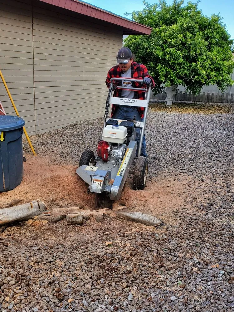 Expert lawn care service in Mesa, AZ - Julio Tree care & landscaping services