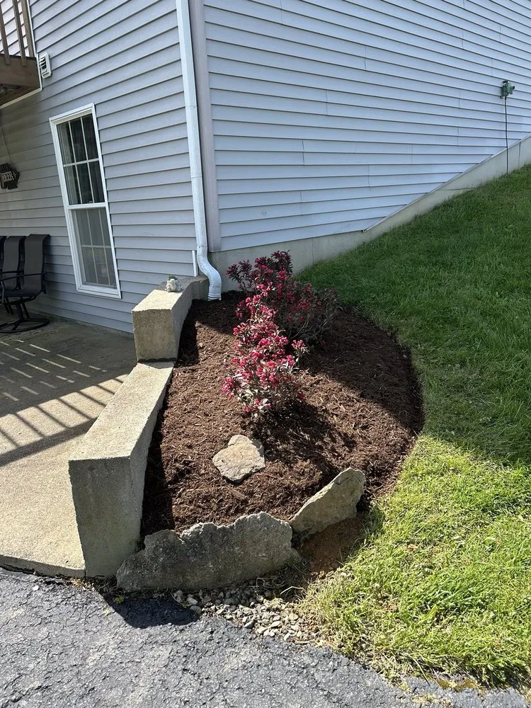 Top-rated lawn care service for beautiful yards across Simpsonville, KY - Julio Tree Service & Landscape