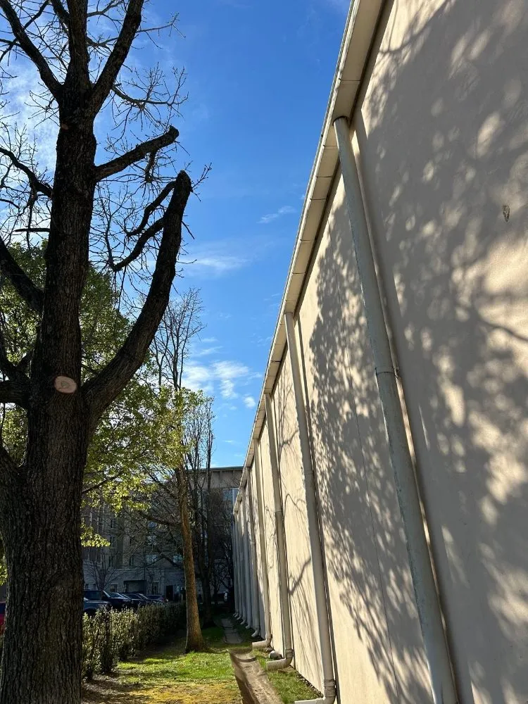 Top-rated lawn care service in Simpsonville, KY by Julio Tree Service & Landscape