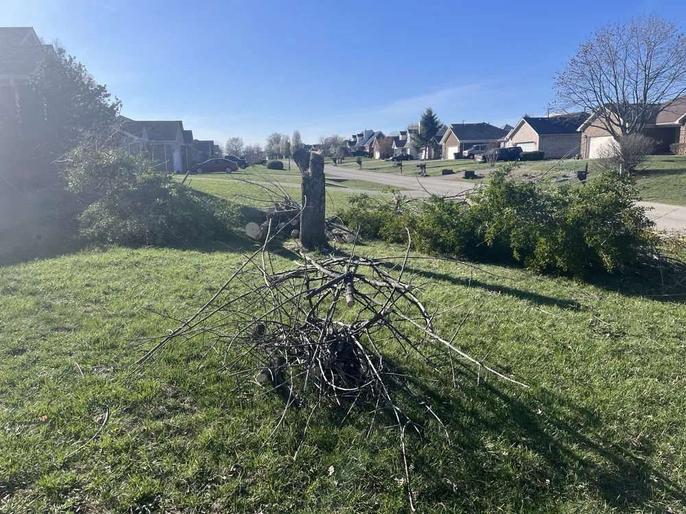 Reliable lawn mowing service in Simpsonville, KY by Julio Tree Service & Landscape