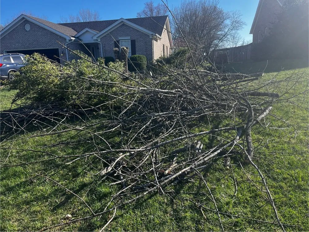 Trusted landscape design in Simpsonville, KY - Julio Tree Service & Landscape