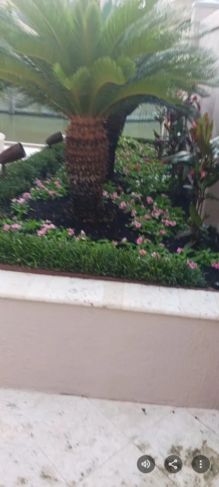 Affordable landscape installation for homes across Webster, TX - Julio's H Lawns Service