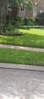 Julio's H Lawns Service Logo