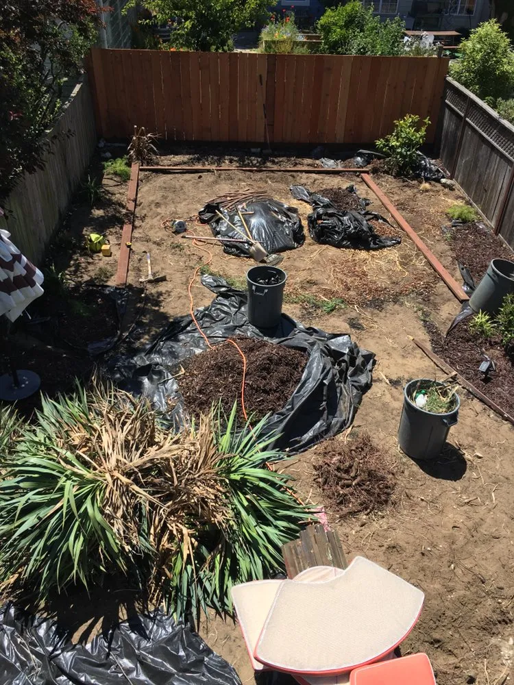 Affordable lawn mowing service near you across San Francisco, CA - Julio's Landscape Maintenance