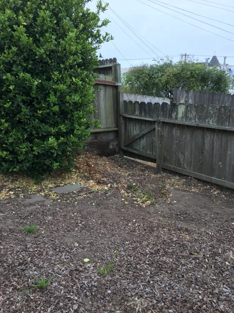 Top-rated yard cleanup service for beautiful yards across San Francisco, CA - Julio's Landscape Maintenance