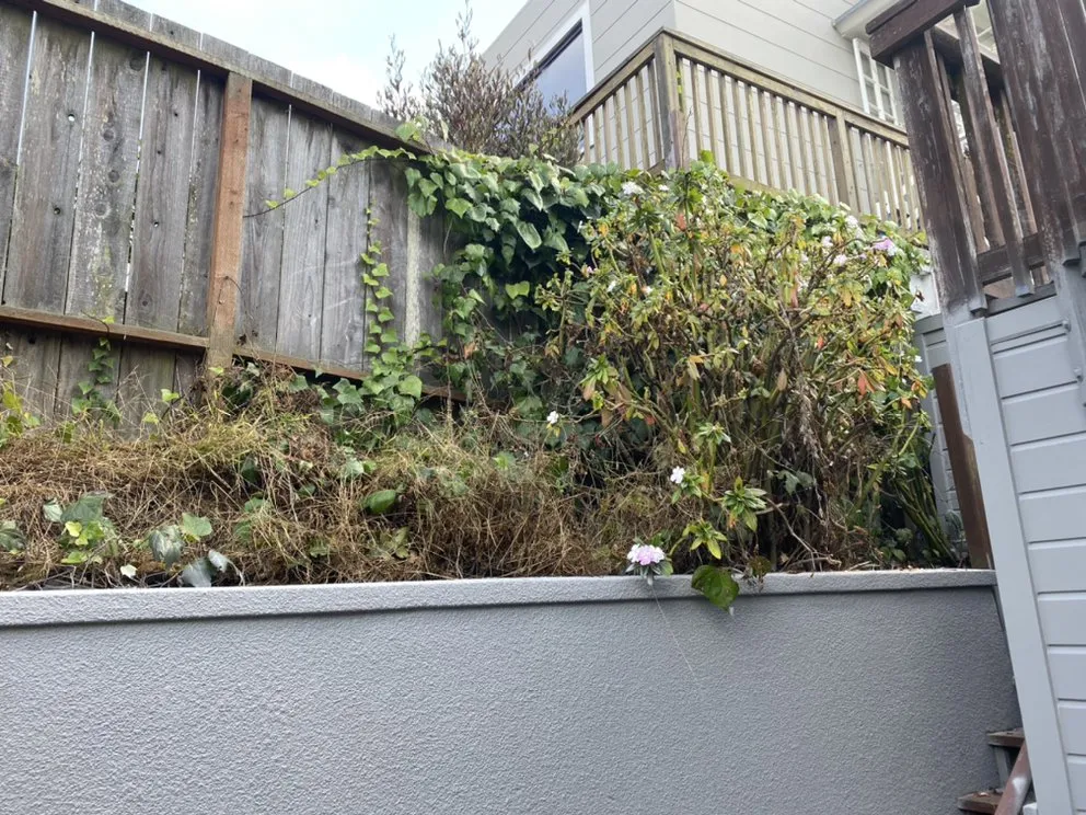 Affordable landscape installation in San Francisco, CA - Julio's Landscape Maintenance