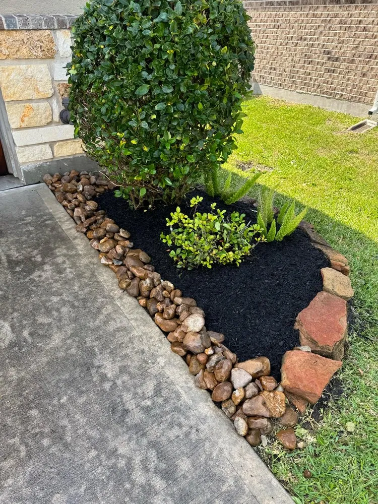 Top-rated yard cleanup service in Houston, TX - Julio’s Landscaping