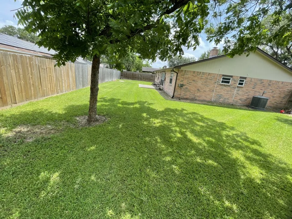 Top-rated lawn care service for beautiful yards across Houston, TX - Julio’s Landscaping