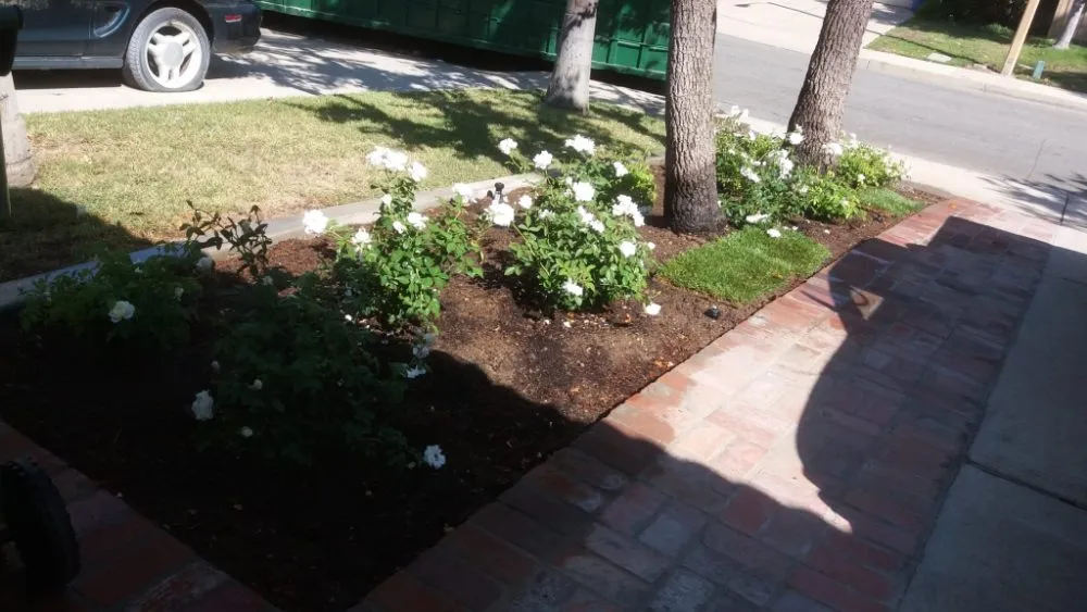 Expert lawn mowing service for beautiful yards across Simi Valley, CA - Julio's Landscaping