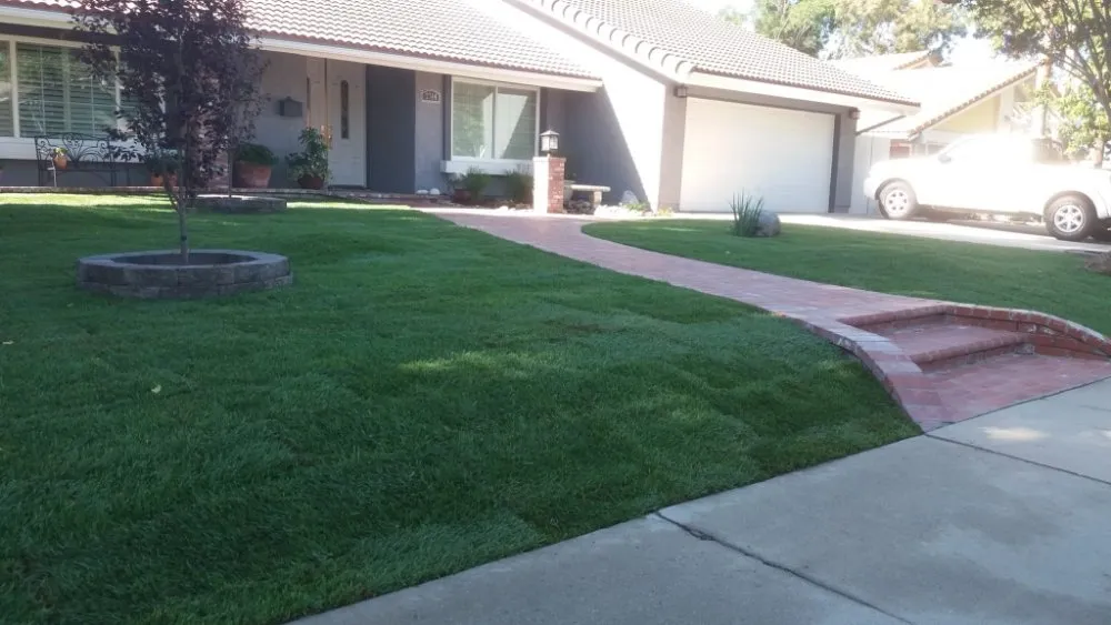Trusted landscape design experts serving Simi Valley, CA - Julio's Landscaping
