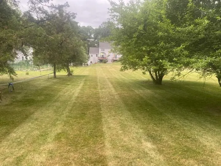 Affordable lawn care service experts serving Foxborough, MA - Julio’s Plus Services