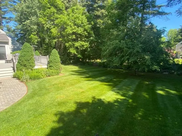 Trusted landscape installation experts serving Foxborough, MA - Julio’s Plus Services