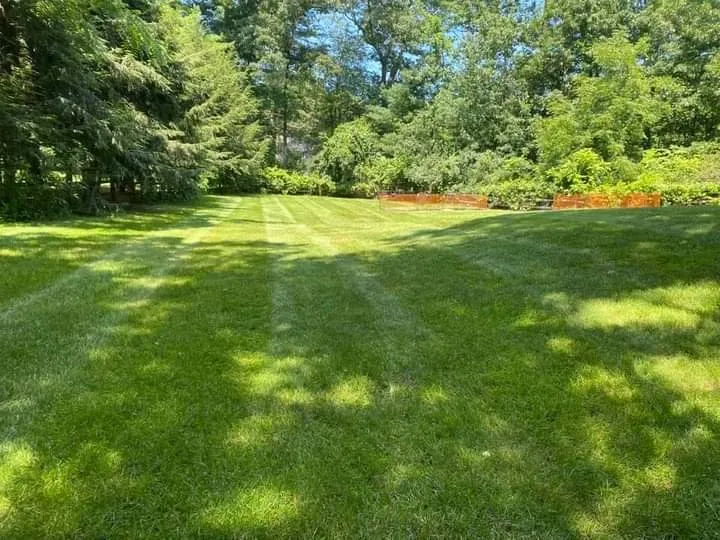 Custom landscape installation experts serving Foxborough, MA - Julio’s Plus Services