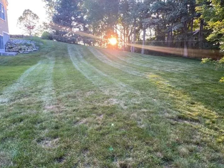 Top-rated landscaping services in Foxborough, MA - Julio’s Plus Services