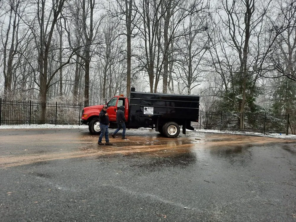 Professional yard cleanup service near you across Bound Brook, NJ - Julio's Tree Services