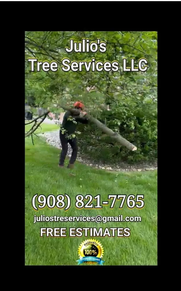 Trusted lawn care service near you in Bound Brook, NJ by Julio's Tree Services