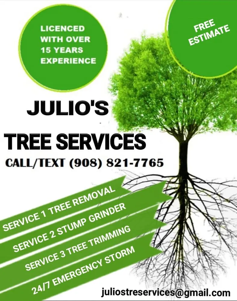 Top-rated yard maintenance in Bound Brook, NJ - Julio's Tree Services