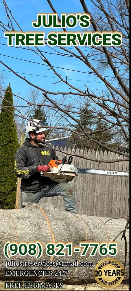 Custom landscape design in Bound Brook, NJ by Julio's Tree Services