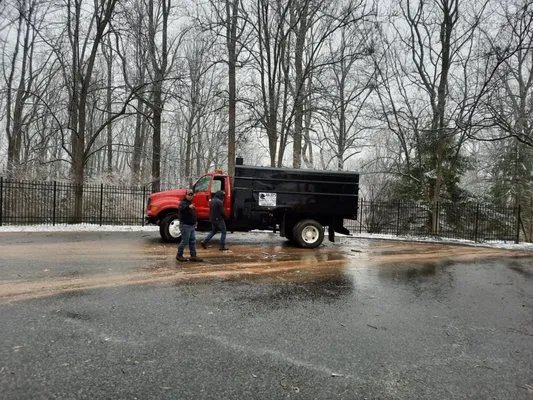 Julio's Tree Services