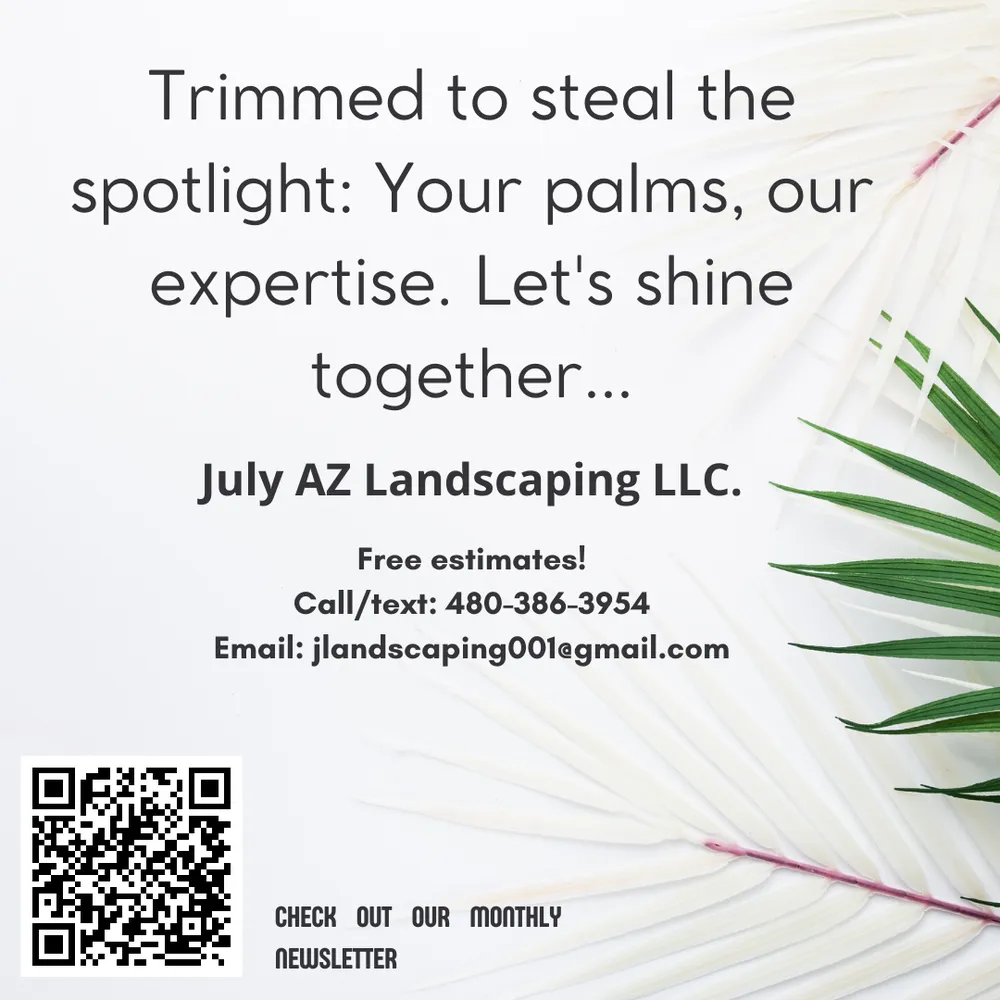 Expert garden landscaping in Mesa, AZ - July AZ Landscaping