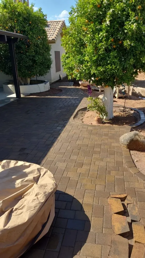 Expert yard maintenance for beautiful yards across Mesa, AZ - July AZ Landscaping