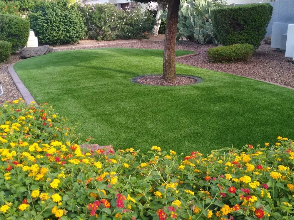 Professional landscape design experts serving Mesa, AZ - July AZ Landscaping