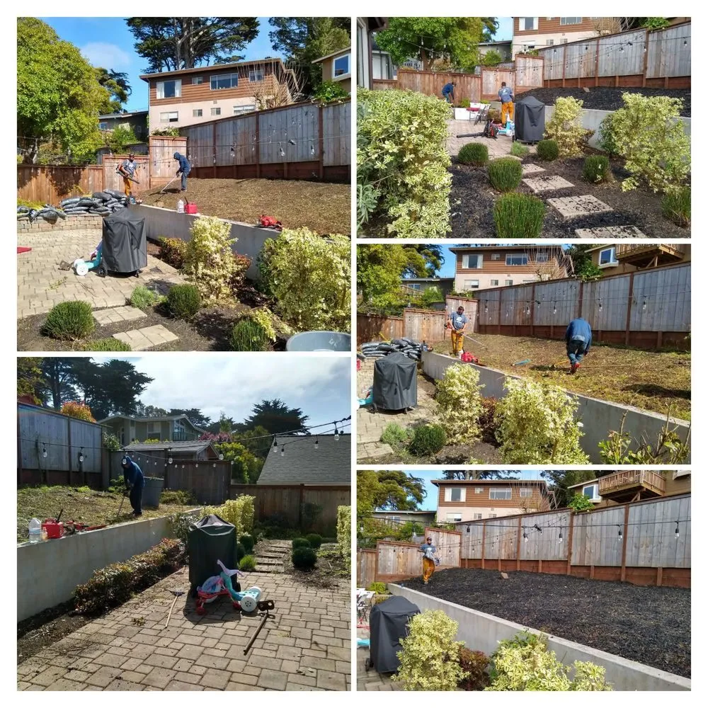 Professional lawn mowing service in St. Louis, MO - JUM Concrete & Lanscaping & Construction