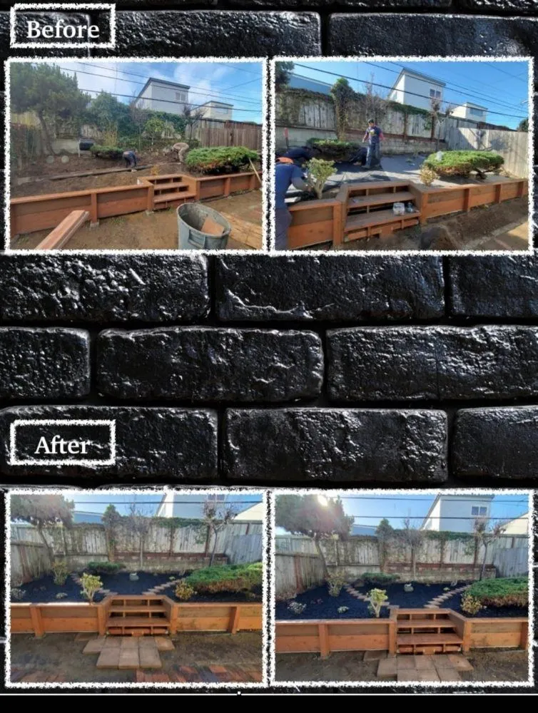 Local landscape installation for year-round maintenance in St. Louis, MO by JUM Concrete & Lanscaping & Construction