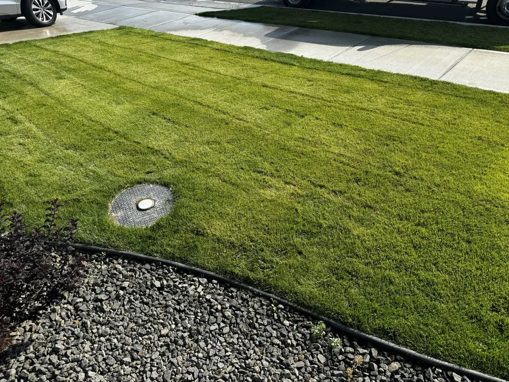 Professional garden landscaping for outdoor upgrades in Mead, WA by Jumbo's Backyard