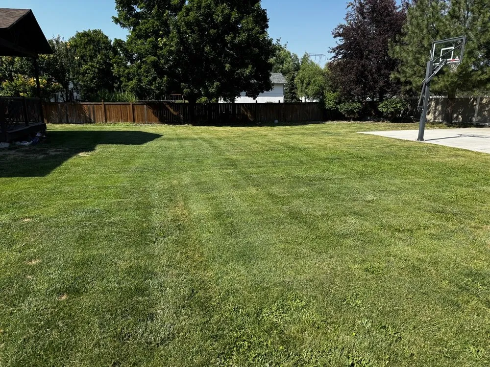 Professional garden landscaping in Mead, WA by Jumbo's Backyard