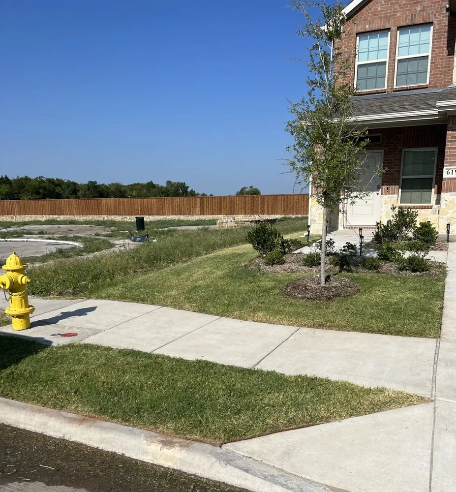 Local lawn care service experts serving Wylie, TX - Jump’n Lawn Care