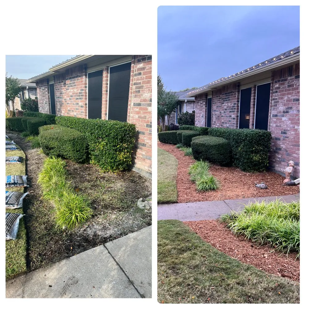Affordable lawn care service in Wylie, TX - Jump’n Lawn Care