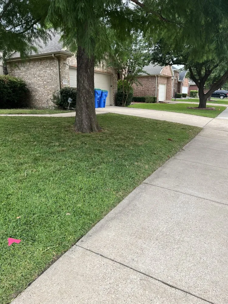 Affordable yard maintenance experts serving Wylie, TX - Jump’n Lawn Care