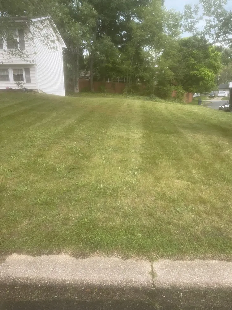 Custom yard cleanup service in Indian Head, MD by Jungle Boyz