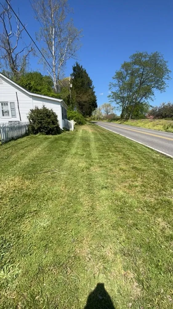 Local yard cleanup service in Indian Head, MD by Jungle Boyz