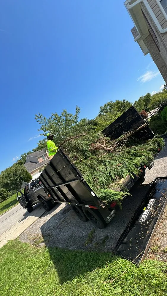 Local residential landscaping in Indian Head, MD by Jungle Boyz