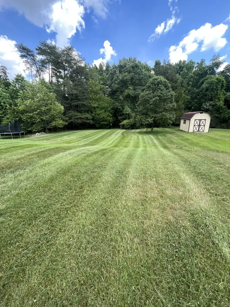 Professional landscape design in Indian Head, MD by Jungle Boyz