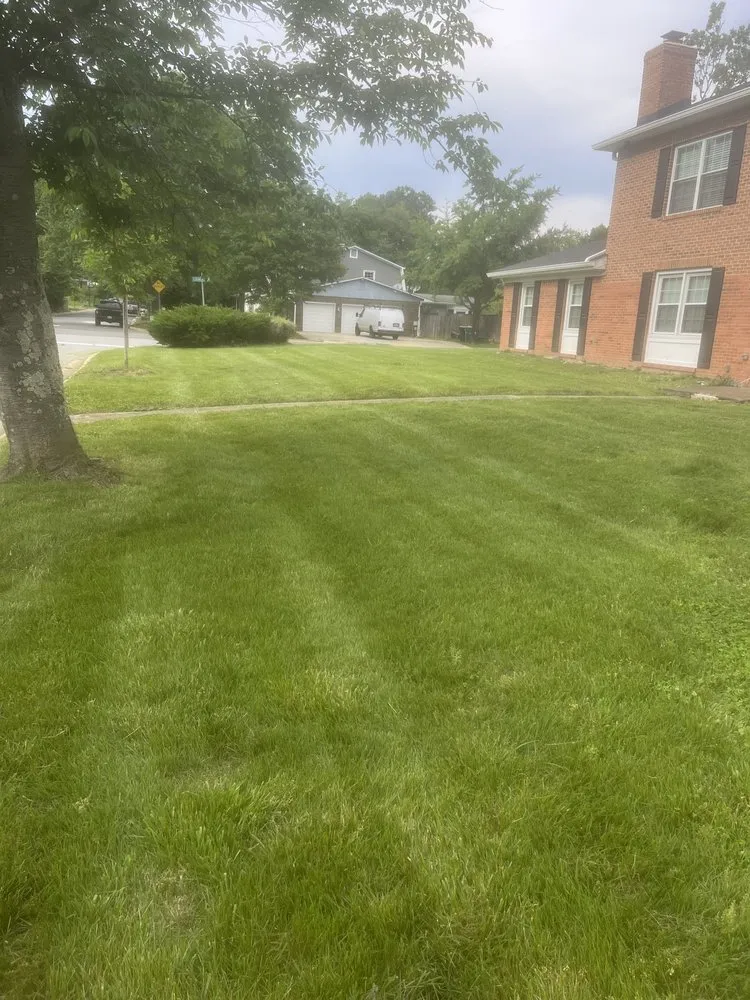 Top-rated lawn mowing service for residential properties in Indian Head, MD by Jungle Boyz