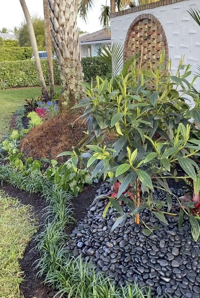 Local yard maintenance near you across Westgate, FL - Jungle House Plant Design