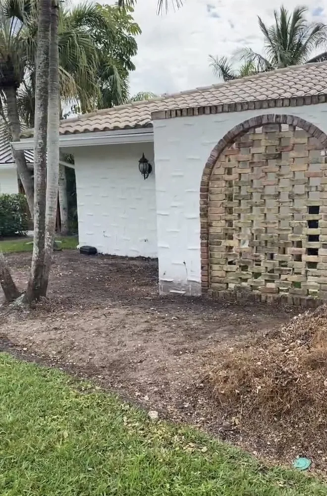 Custom lawn care service experts serving Westgate, FL - Jungle House Plant Design