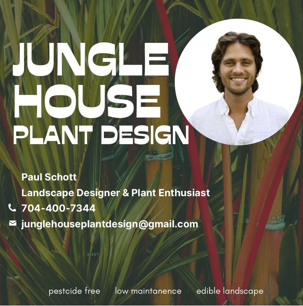 Trusted garden landscaping in Westgate, FL - Jungle House Plant Design