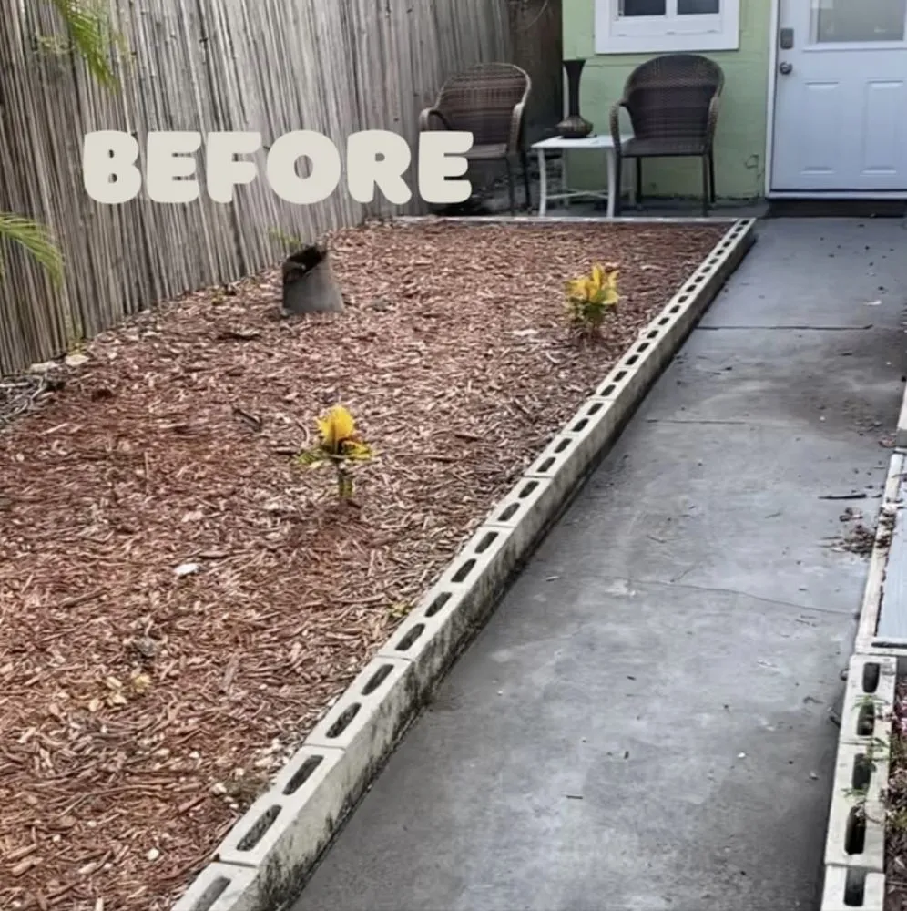 Top-rated yard maintenance experts serving Westgate, FL - Jungle House Plant Design