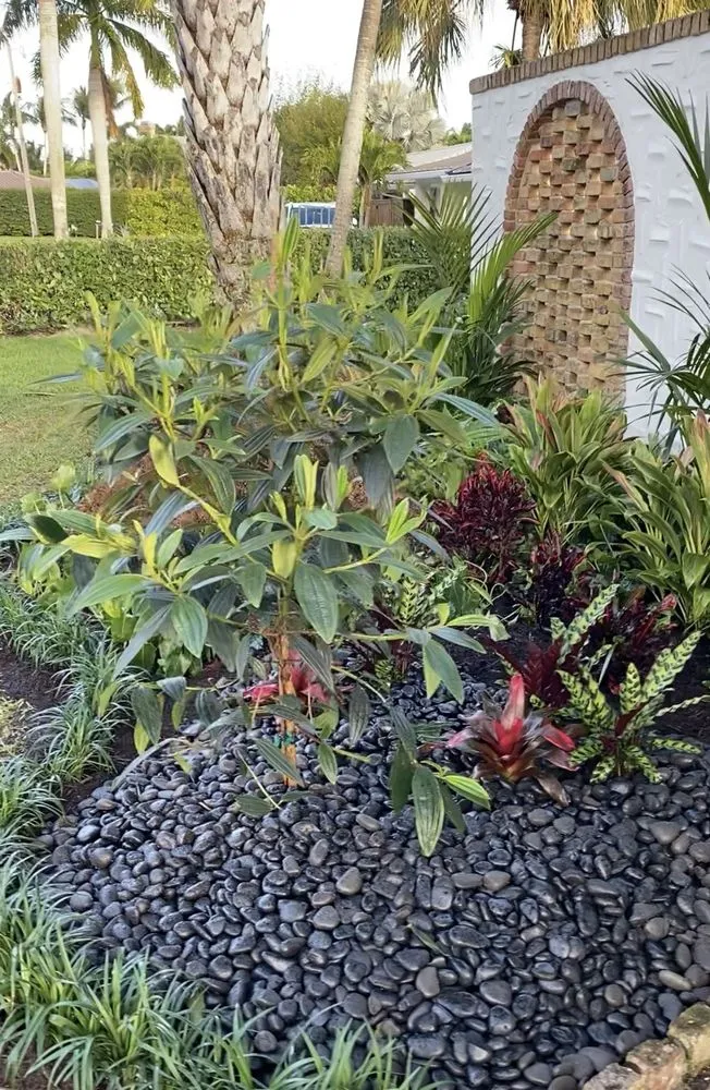 Affordable yard maintenance in Westgate, FL by Jungle House Plant Design