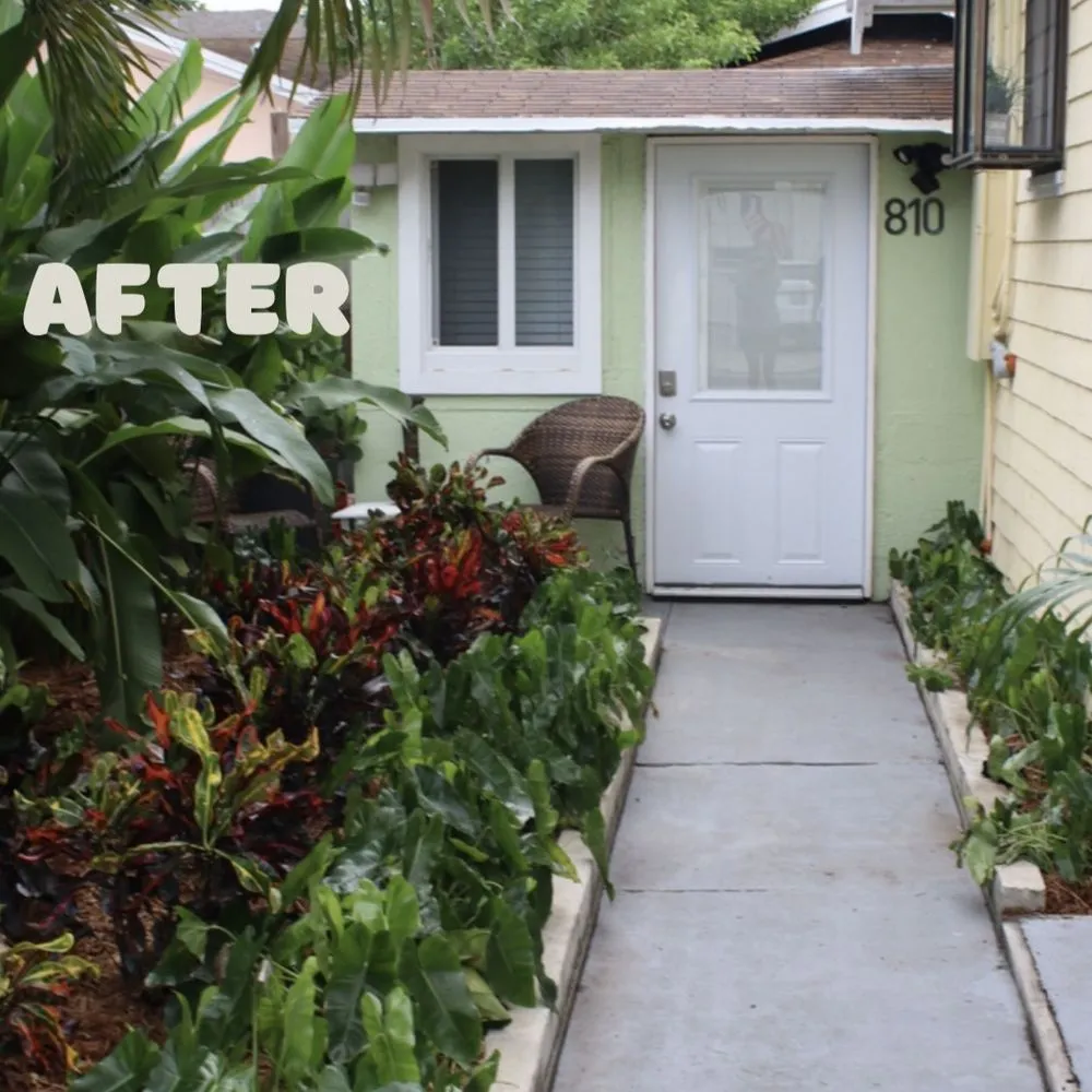 Local garden landscaping experts serving Westgate, FL - Jungle House Plant Design