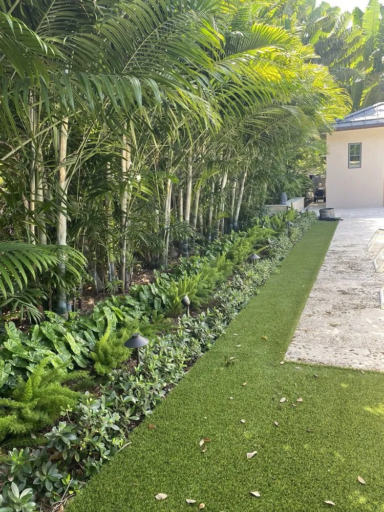 Top-rated lawn care service for homes across Westgate, FL - Jungle House Plant Design