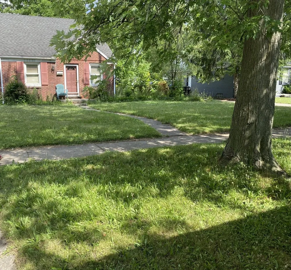 Expert yard cleanup service with custom design across Detroit, MI - Jungle Kutz