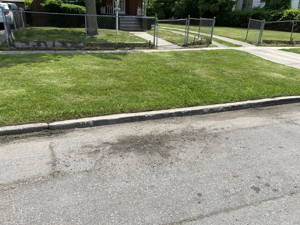 Expert yard cleanup service for year-round maintenance in Detroit, MI by Jungle Kutz