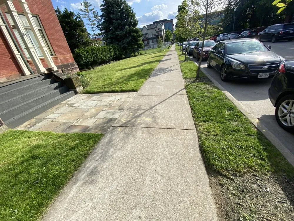 Affordable garden landscaping in Detroit, MI - Jungle Kutz