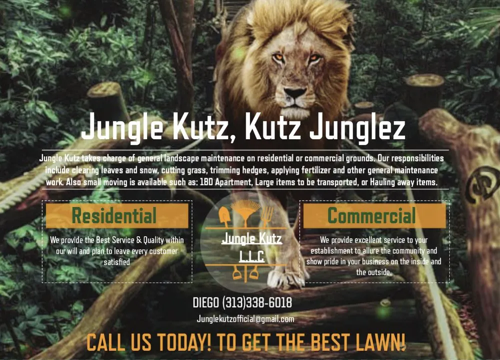 Custom yard maintenance for year-round maintenance in Detroit, MI by Jungle Kutz