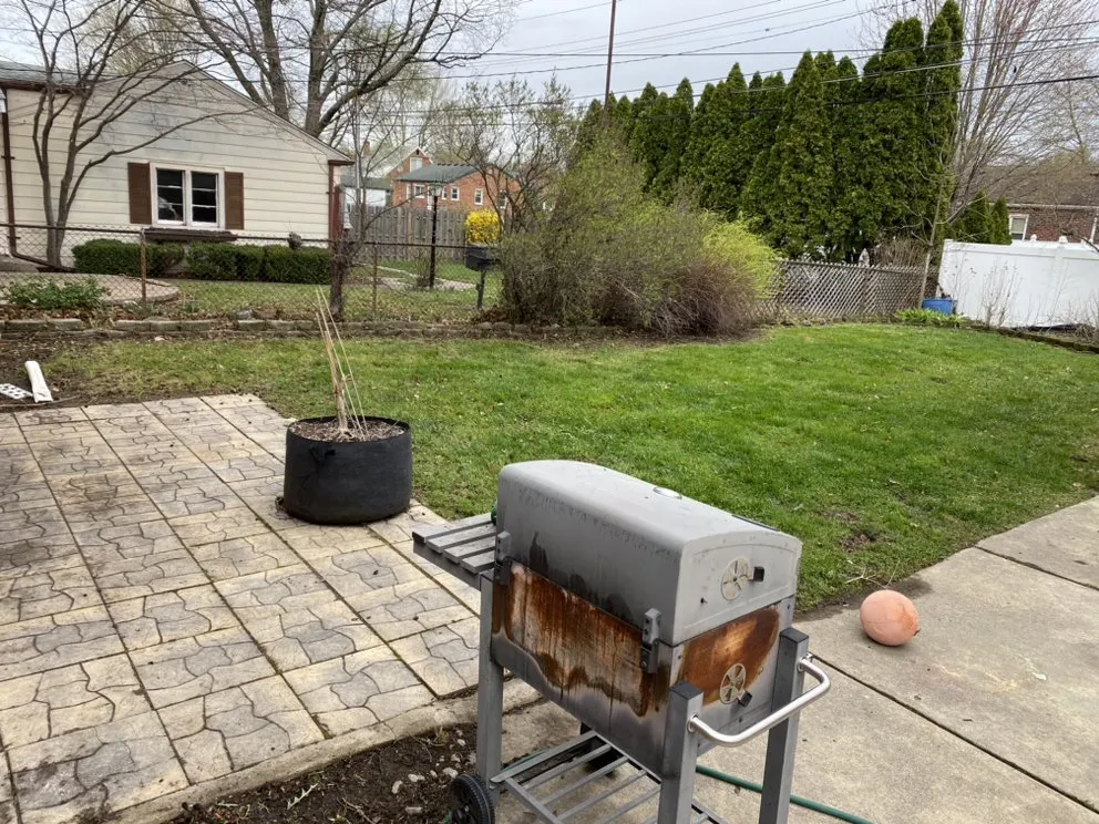 Professional lawn mowing service near you in Detroit, MI by Jungle Kutz